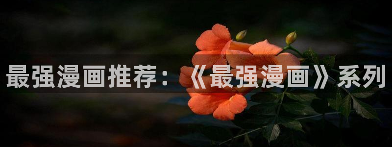 漫蛙漫画在线观看免费版完整